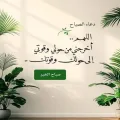 صلاح الدين حسن